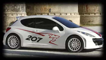 Peugeot 207 RCup